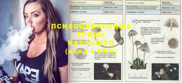 круглые Нефтегорск